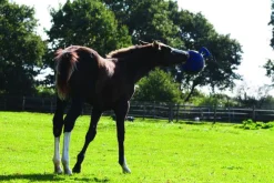 Horsemen's Pride™ Jolly Ball®