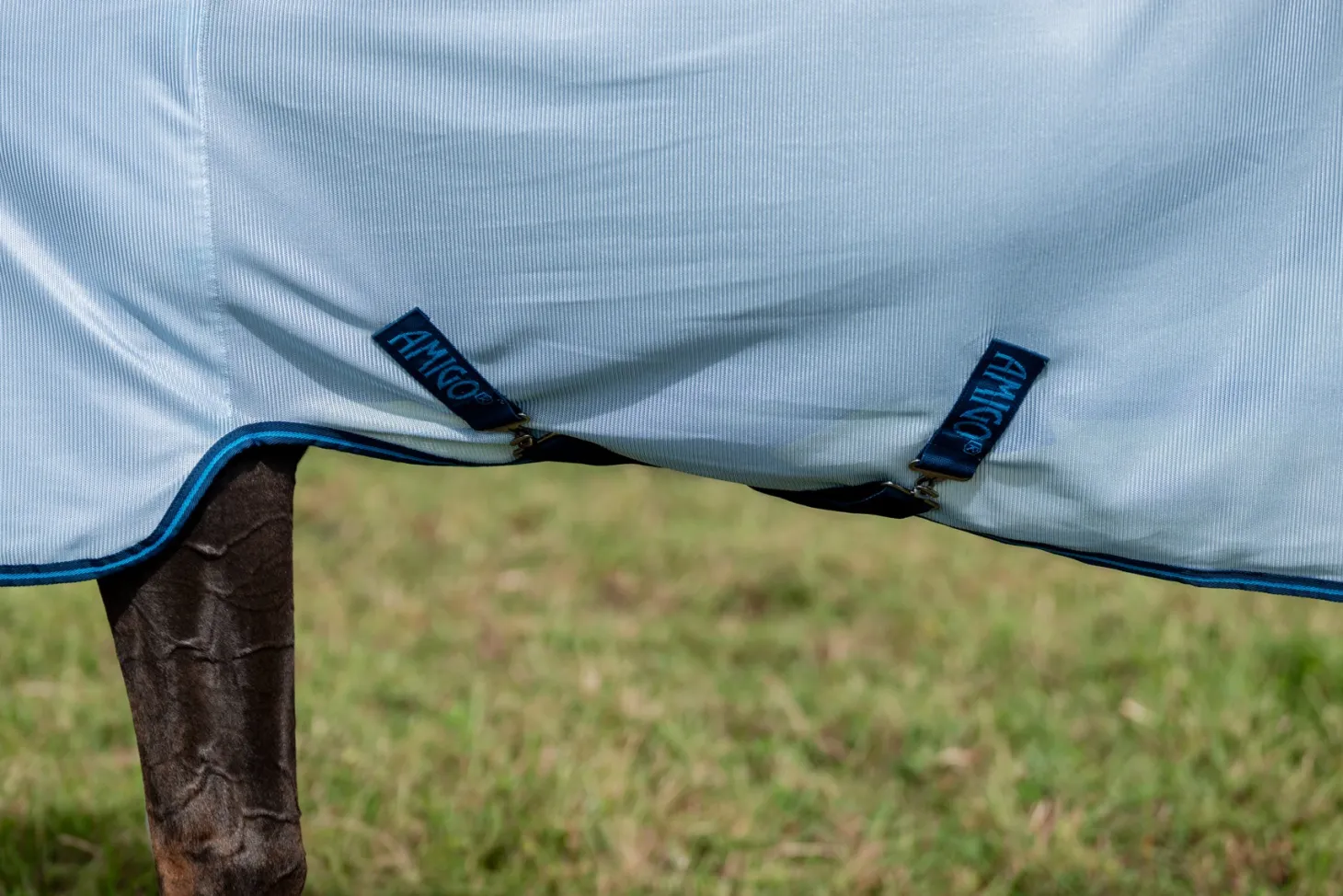 Horseware® Ireland Amigo® Bug Rug Plus Fly Sheet