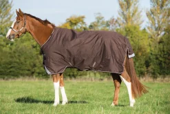 Horseware® Ireland Amigo® Bravo 12 Heavyweight Turnout Blanket