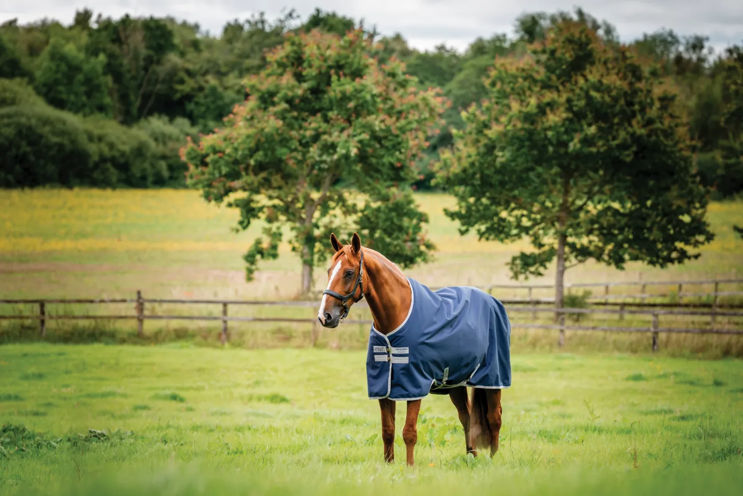 Horseware® Ireland Amigo® 900D Ripstop 0 Gram Turnout Sheet