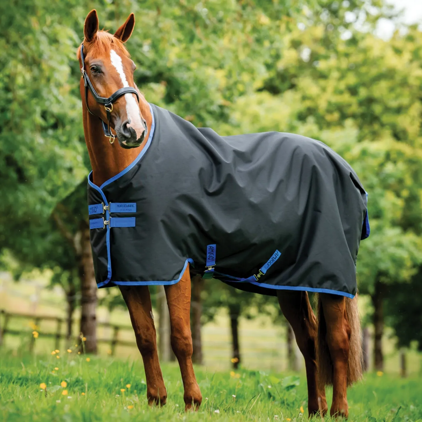 Horseware® Ireland Amigo® 900D Ripstop 0 Gram Turnout Sheet