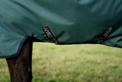 Horseware® Ireland Amigo® Ripstop 900D 100 Gram Standard Neck Pony Turnout–Seasonal Color