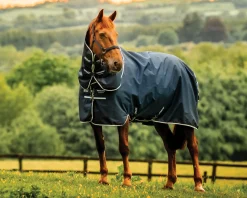 Horseware® Ireland Amigo® Ripstop 900D 100 Gram Plus Pony Turnout