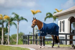 Horseware® Ireland Amigo® Stable Sheet–Core Color
