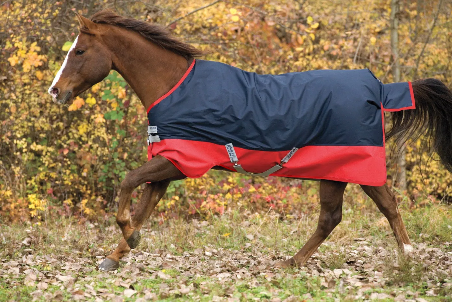 Horseware® Ireland Mio® Lite Turnout Sheet