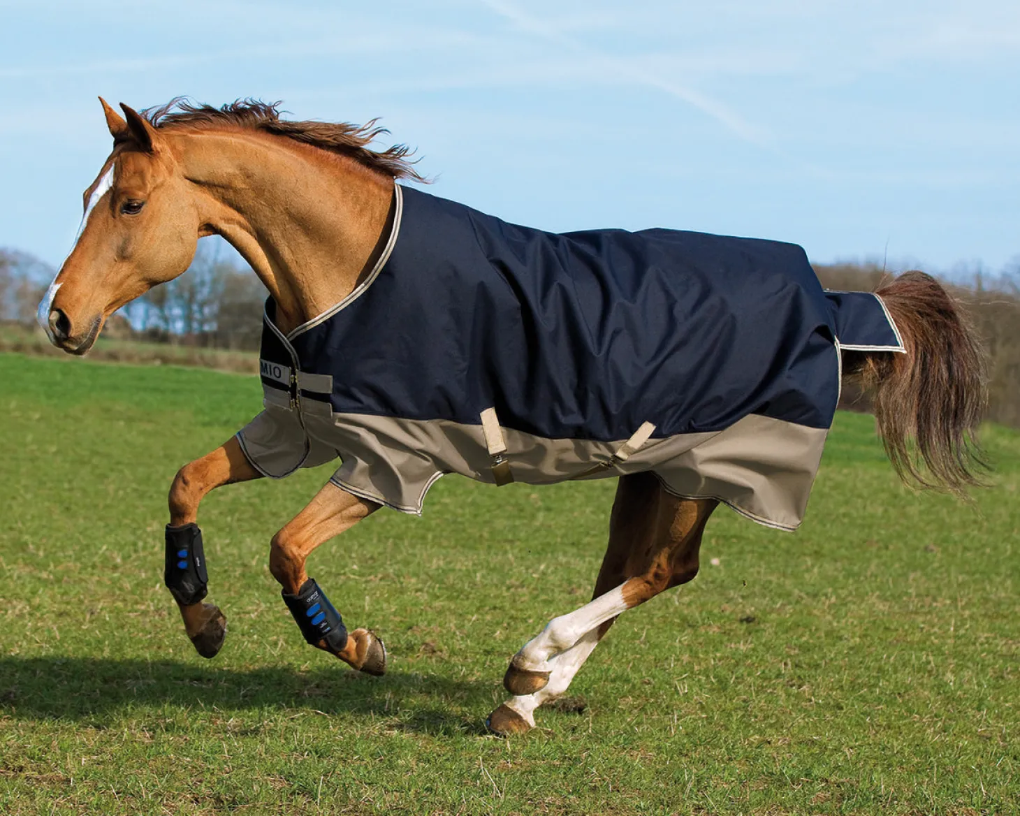 Horseware® Ireland Mio® Lite Turnout Sheet
