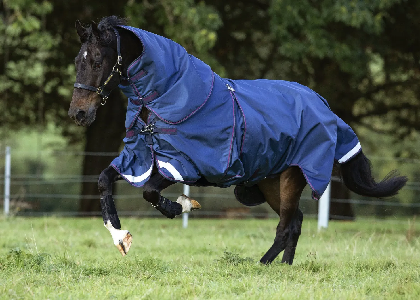 Horseware® Ireland Rambo® Optimo Turnout Blanket