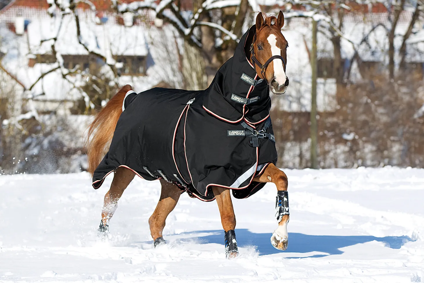 Horseware® Ireland Rambo® Optimo Turnout Blanket