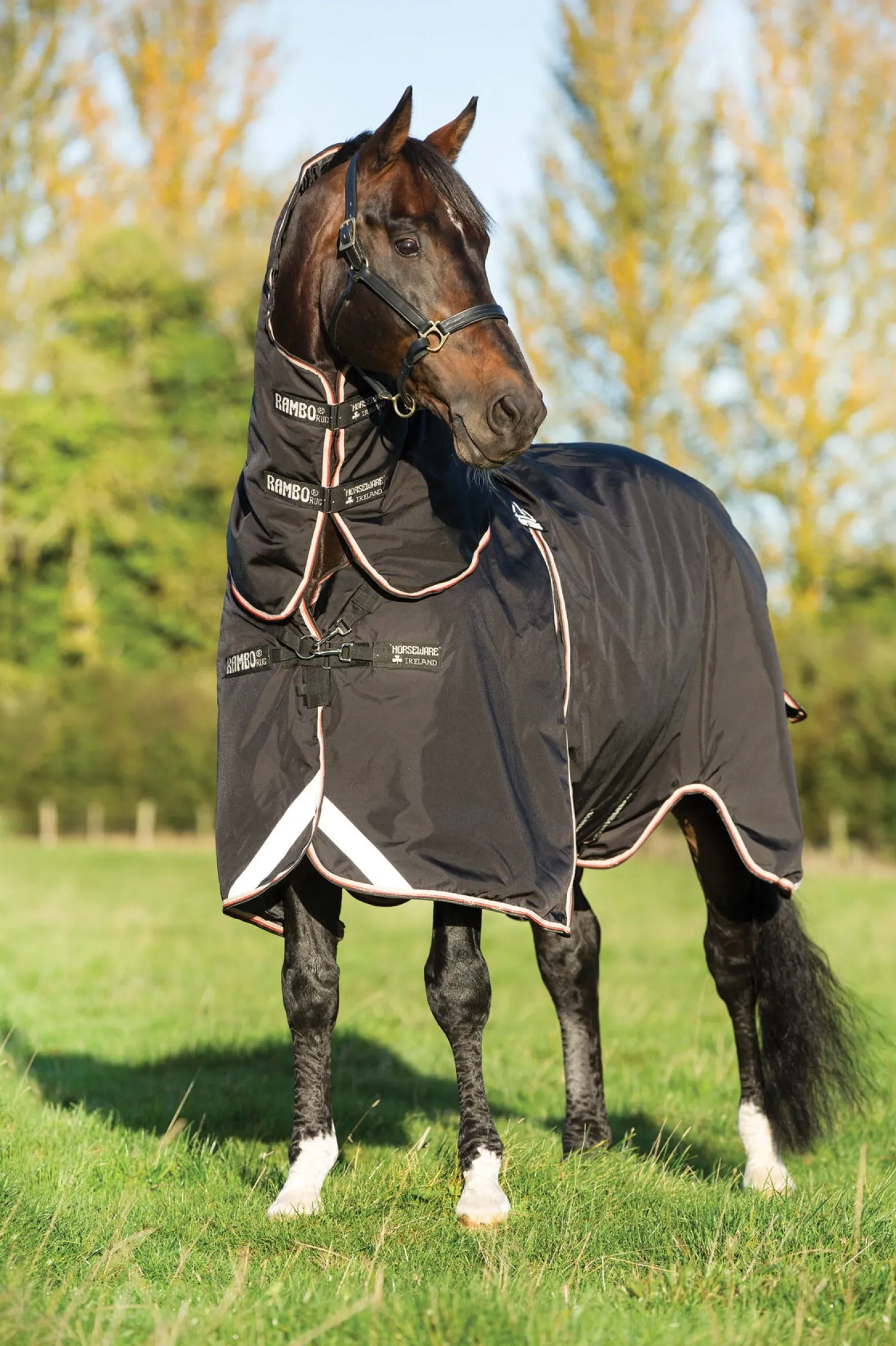 Horseware® Ireland Rambo® Optimo Turnout Blanket
