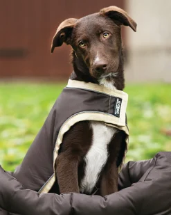 Horseware® Ireland Rambo® Waterproof Dog Blanket