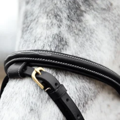 Horze Constance Padded Flash Snaffle Bridle