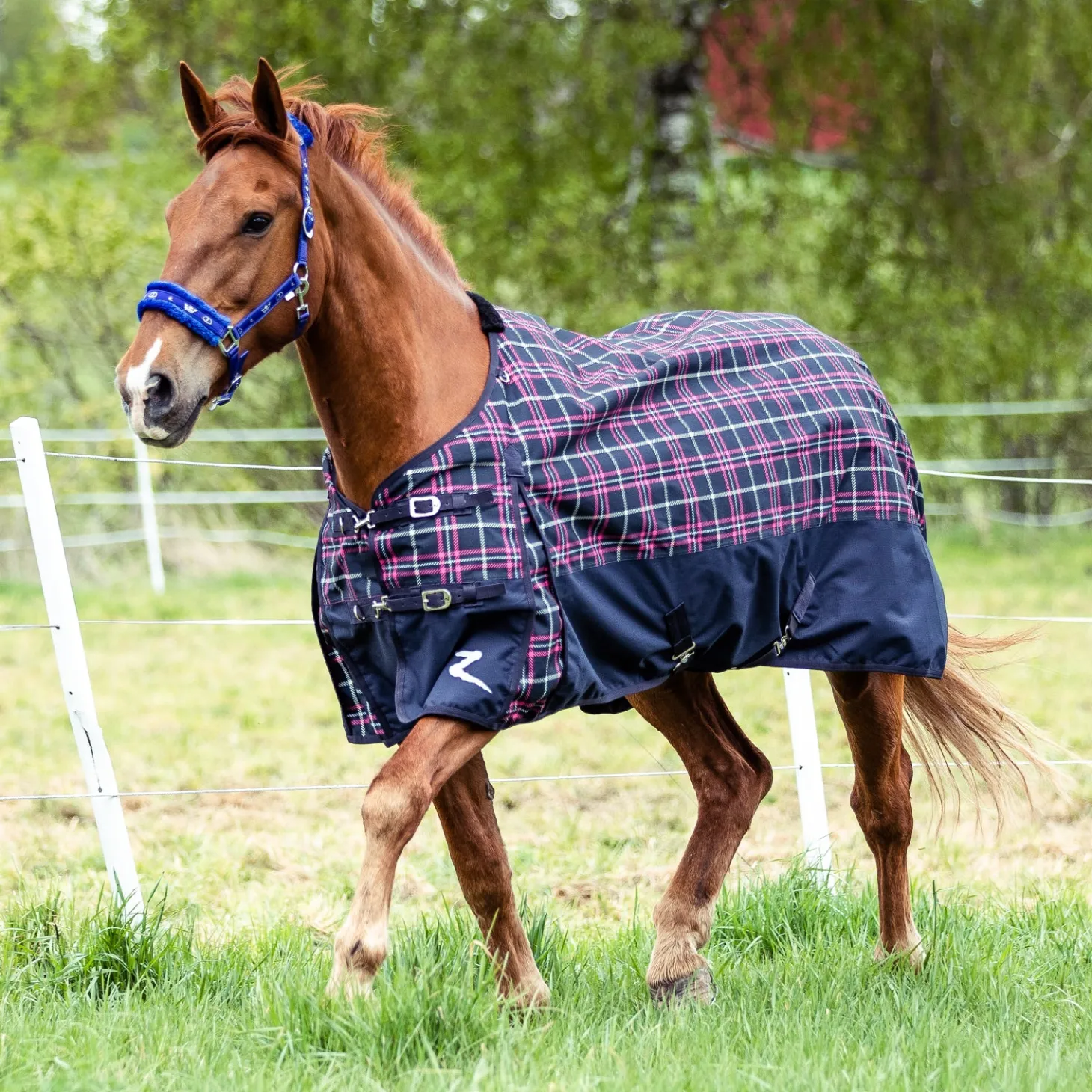 Horze Nevada 1200D Lightweight Turnout Sheet
