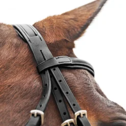 Horze Prescott Figure-8 Bridle