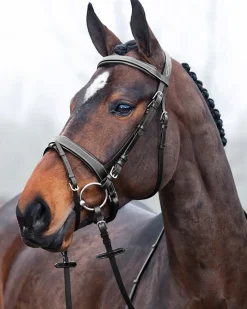 Horze Venice Snaffle Bridle