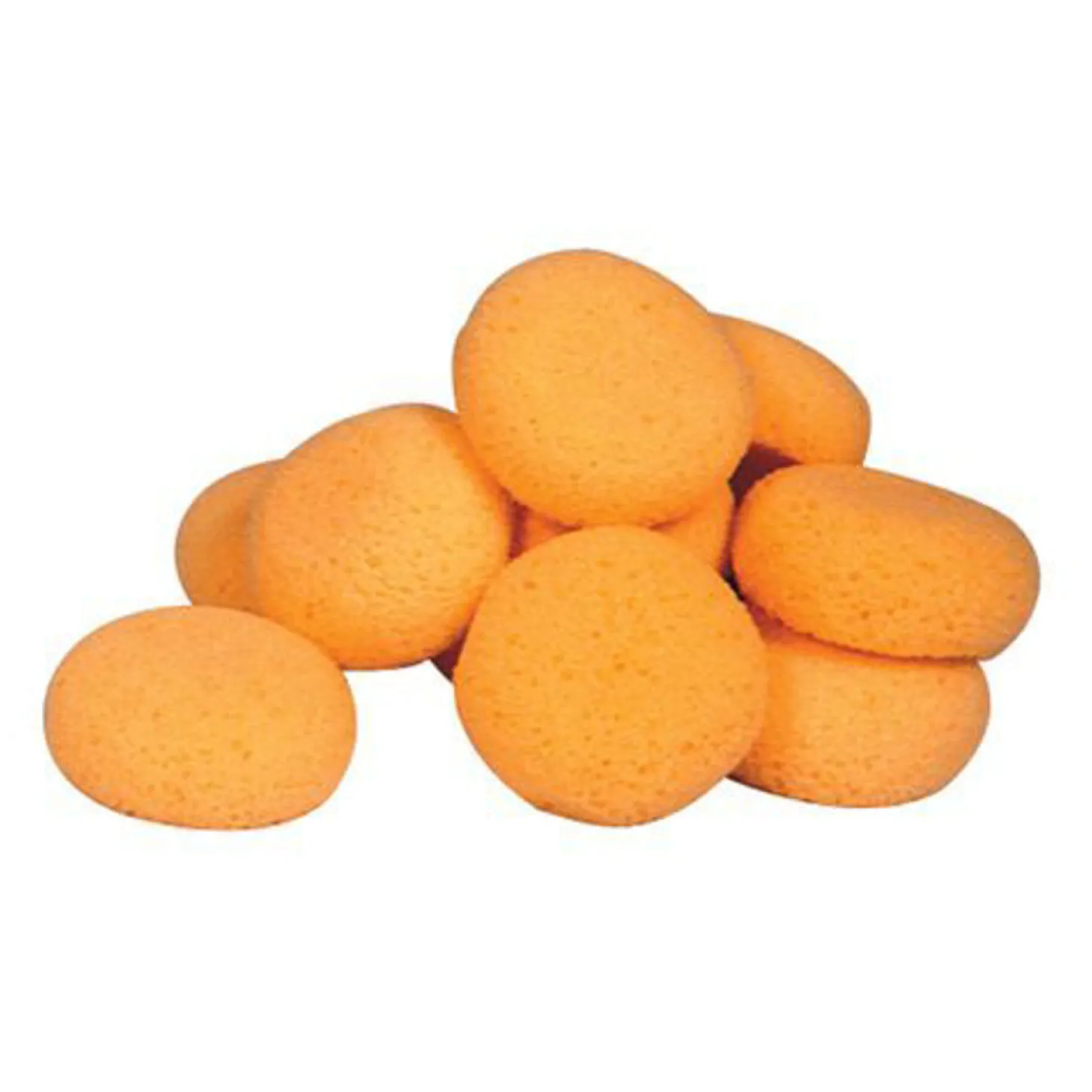 Hydra Sponge 12-pack of Tack Sponges