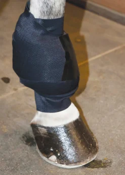 Ice Horse® All-Purpose Wrap