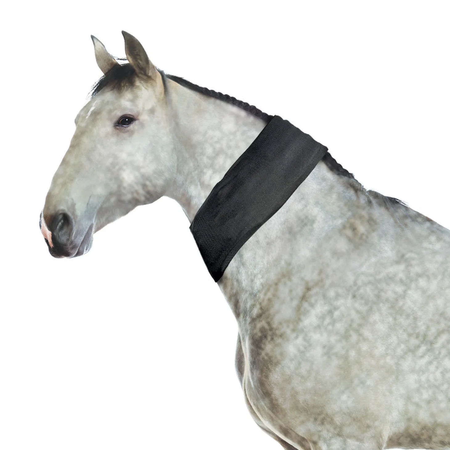 Ice Horse® All-Purpose Wrap