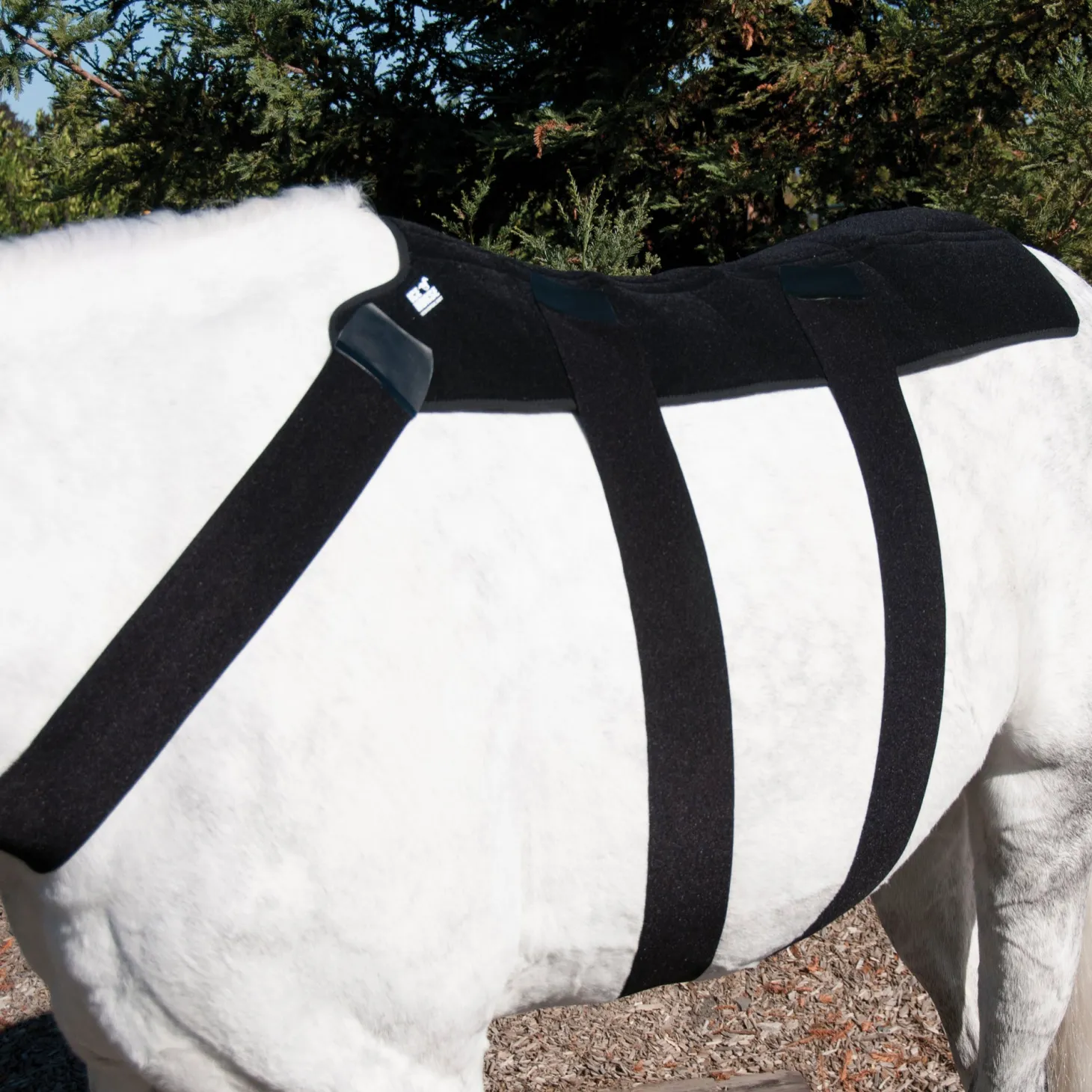 Ice Horse® Back Blanket