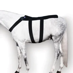 Ice Horse® Back Blanket