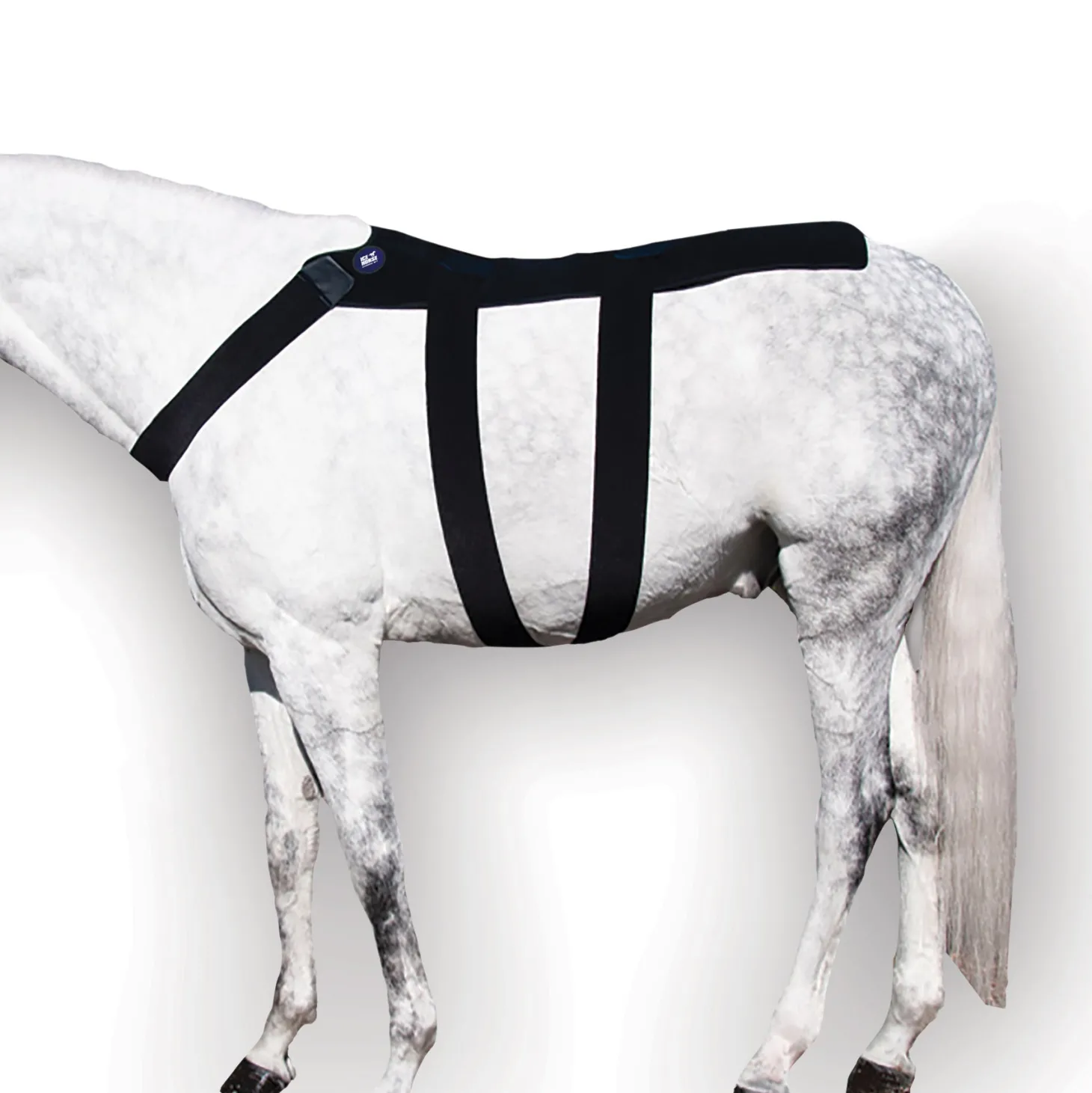 Ice Horse® Back Blanket