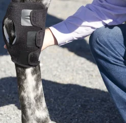 Ice Horse® Pony Hock Wrap – Pair