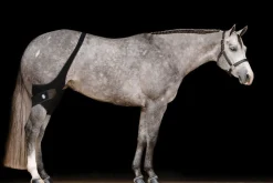 Ice Horse® Stifle Wraps