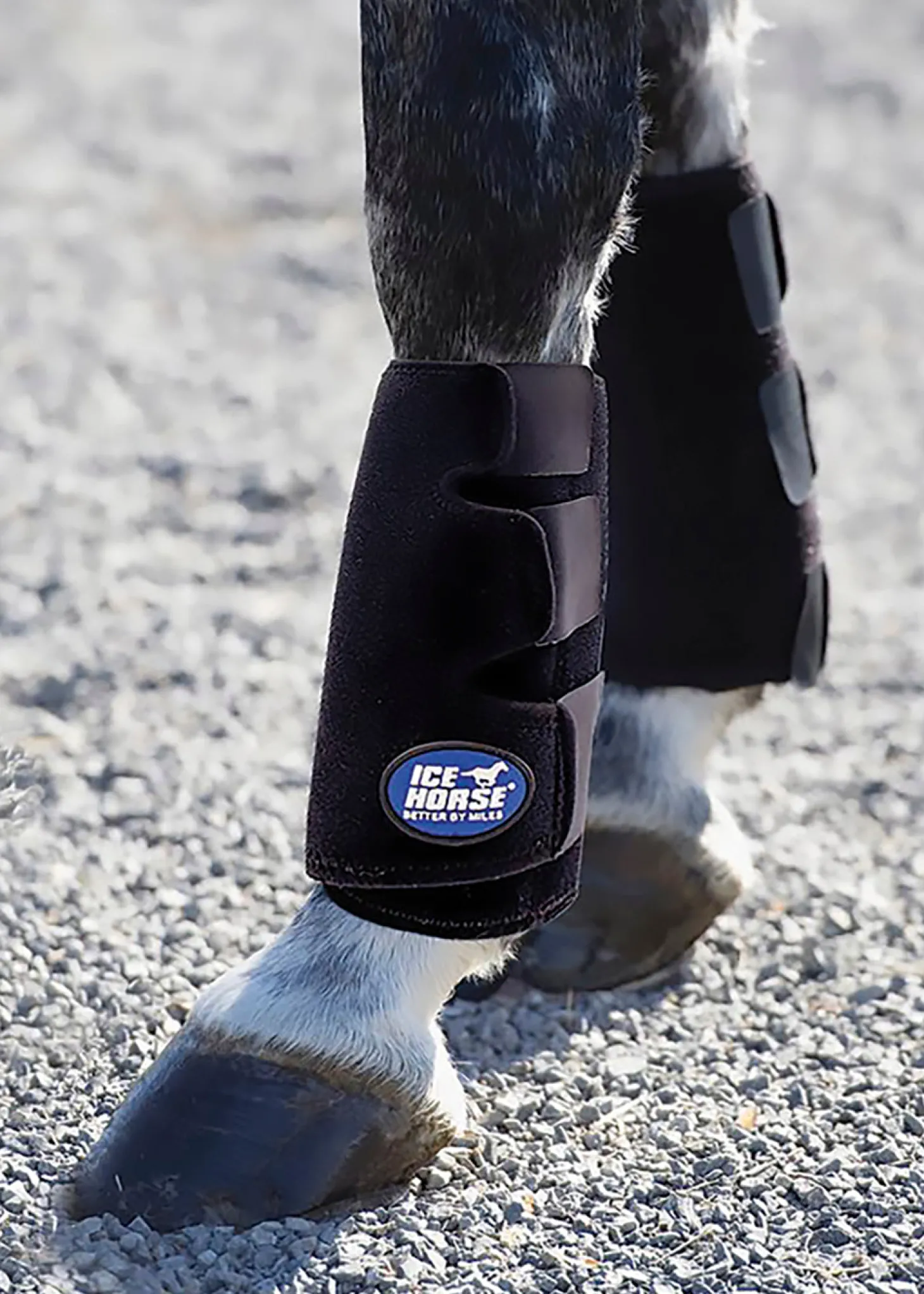 Ice Horse® Tendon Boots