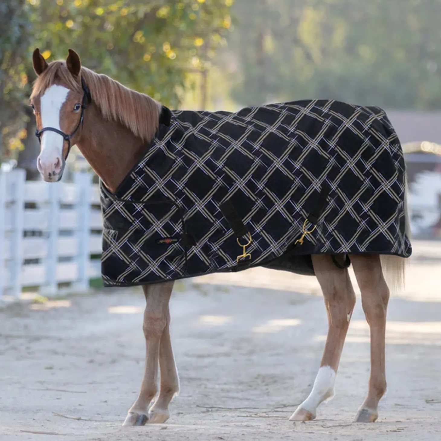 Kensington™ Adjustable Weanling Turnout Blanket