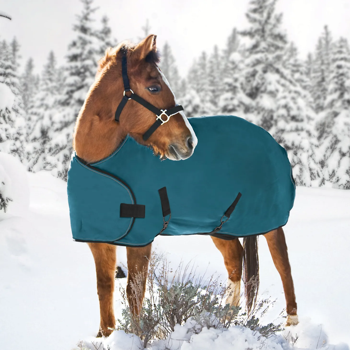 Kensington™ Adjustable Weanling Turnout Blanket