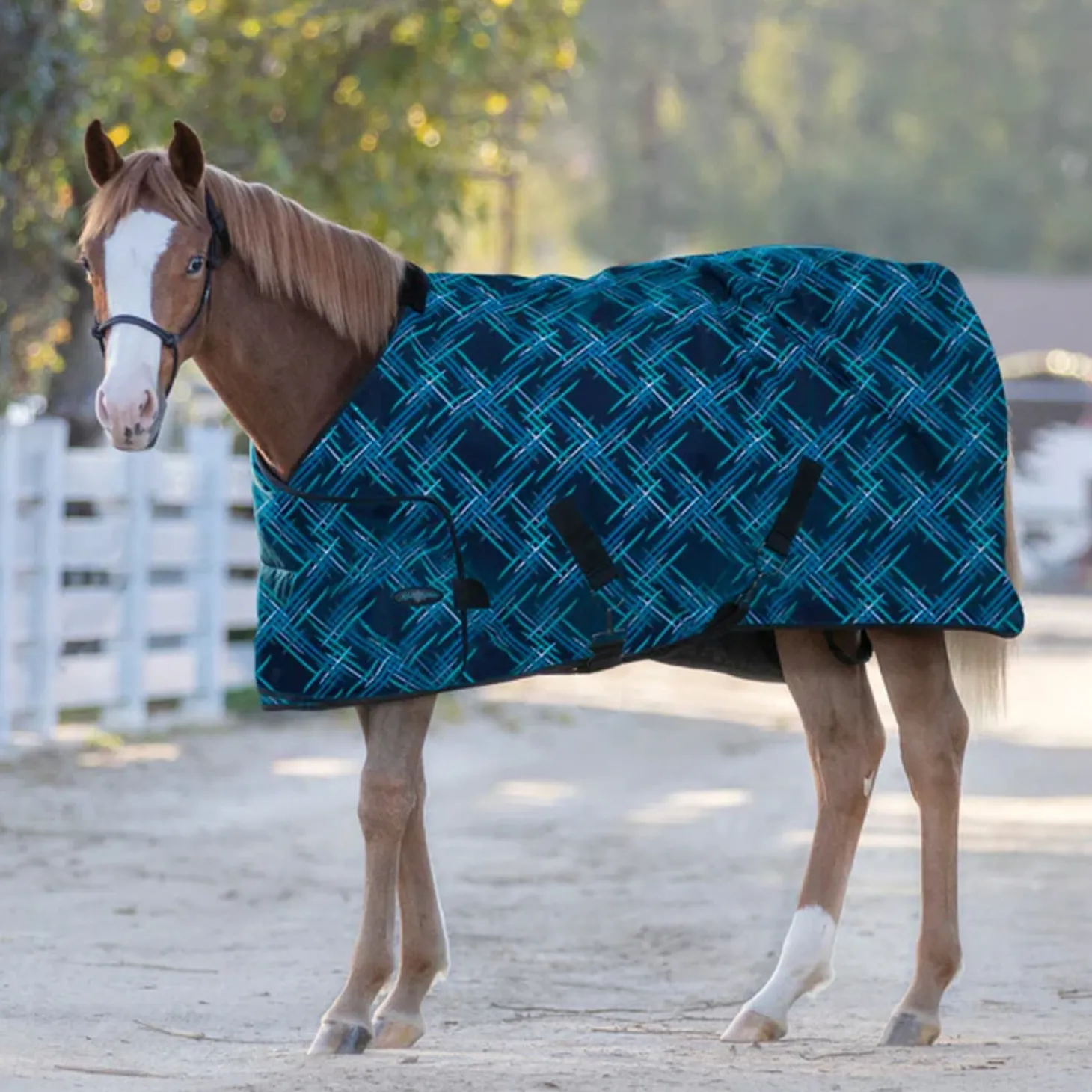 Kensington™ Adjustable Weanling Turnout Blanket