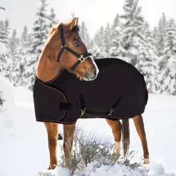 Kensington™ Signature Adjustable Yearling Turnout Blanket