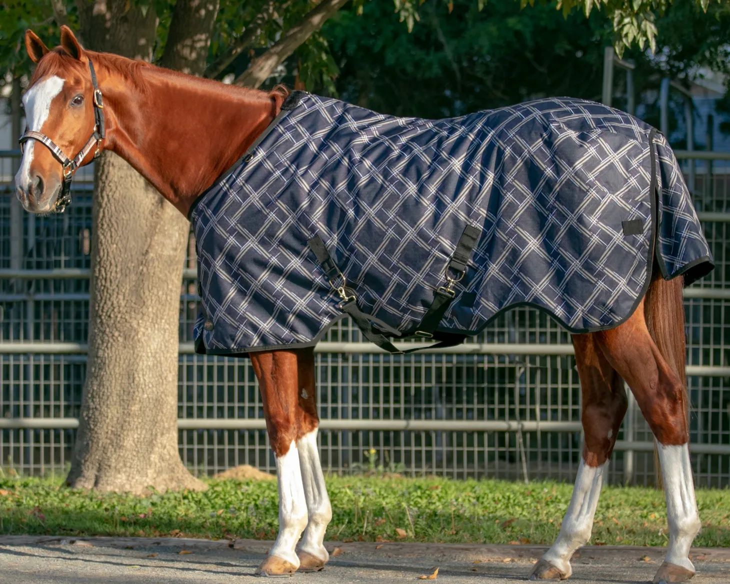 Kensington™ Signature Heavyweight Turnout Blanket