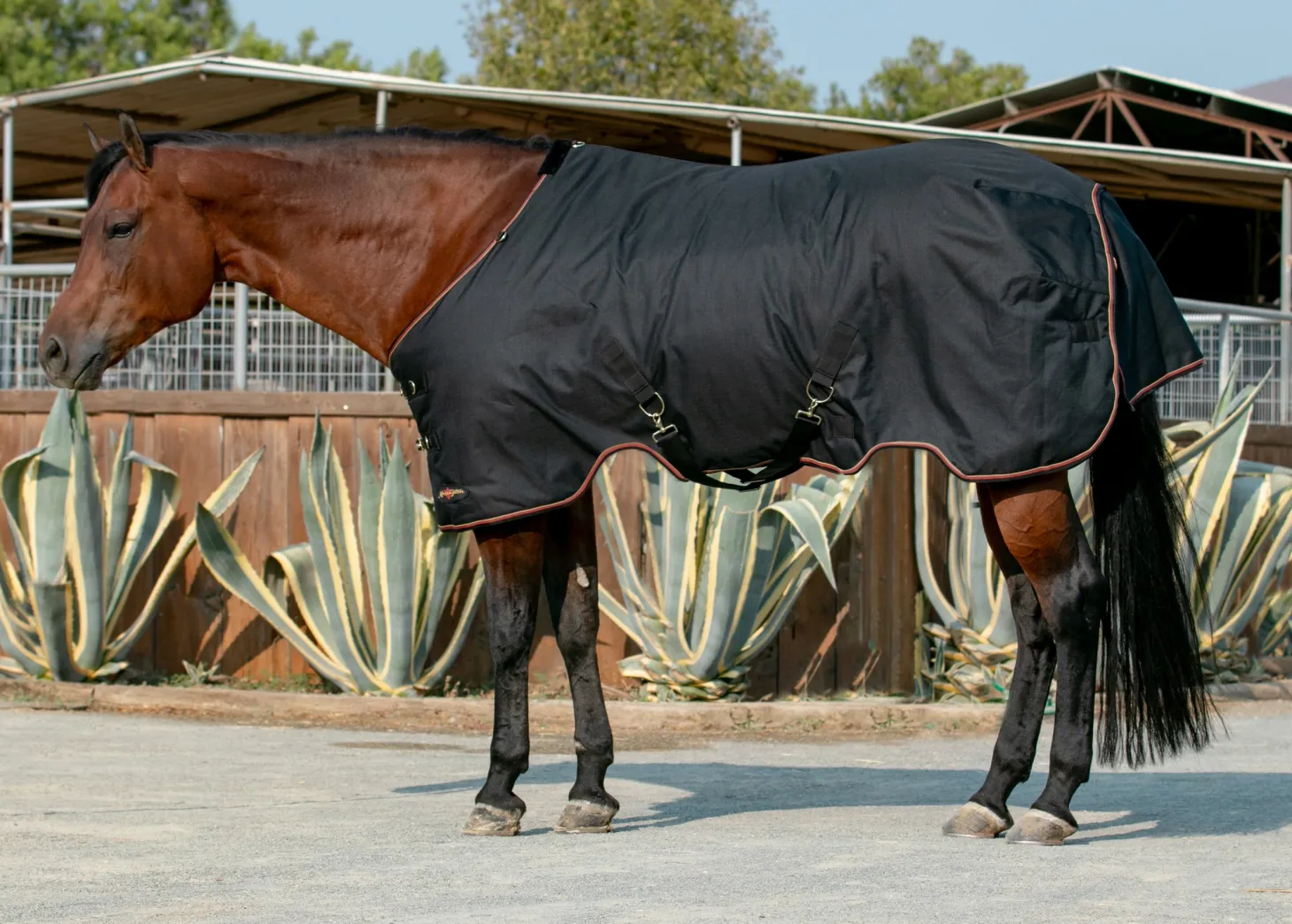 Kensington™ Signature Heavyweight Turnout Blanket