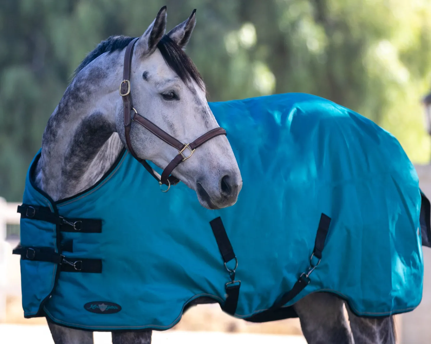 Kensington™ Signature Heavyweight Turnout Blanket