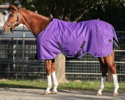 Kensington™ Signature Heavyweight Turnout Blanket