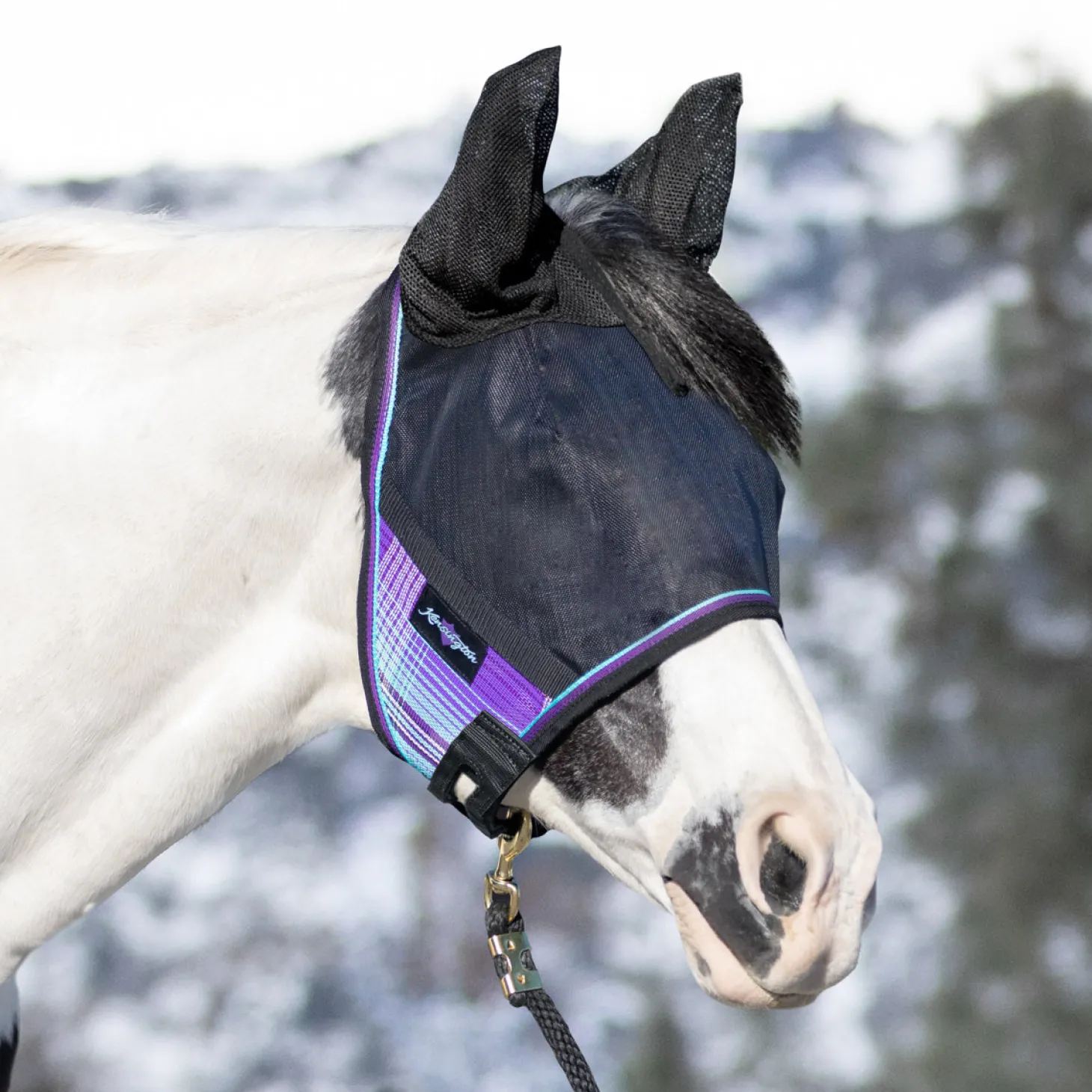 Kensington™ UViator CatchMask Protective Mask with Ears & Forelock Opening