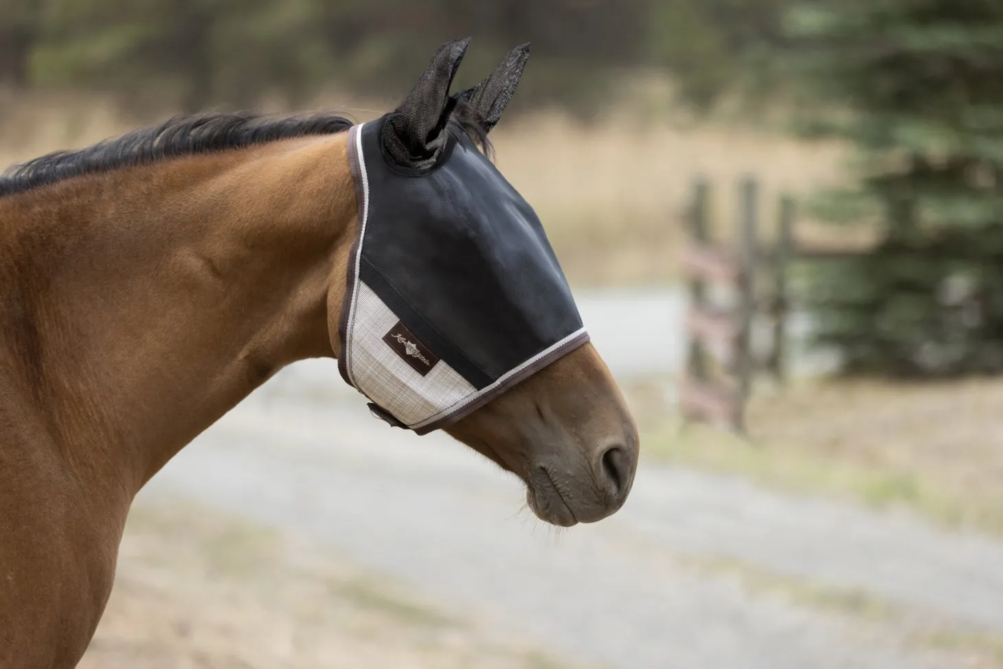Kensington™ UViator CatchMask Protective Mask with Ears & Forelock Opening