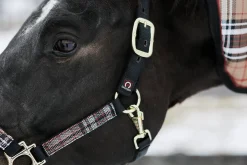 Kensington™ Premium Halter