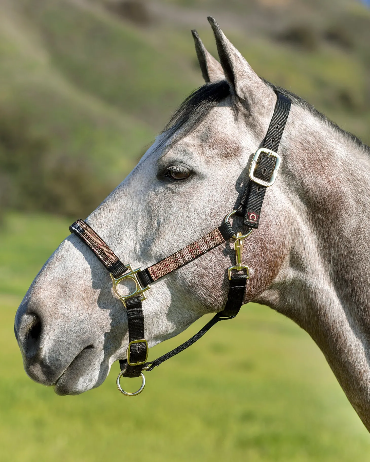 Kensington™ Premium Halter