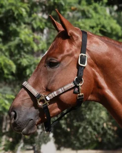 Kensington™ Premium Halter