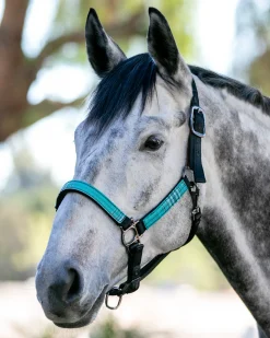 Kensington™ Premium Halter