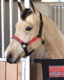 Kensington™ Premium Halter