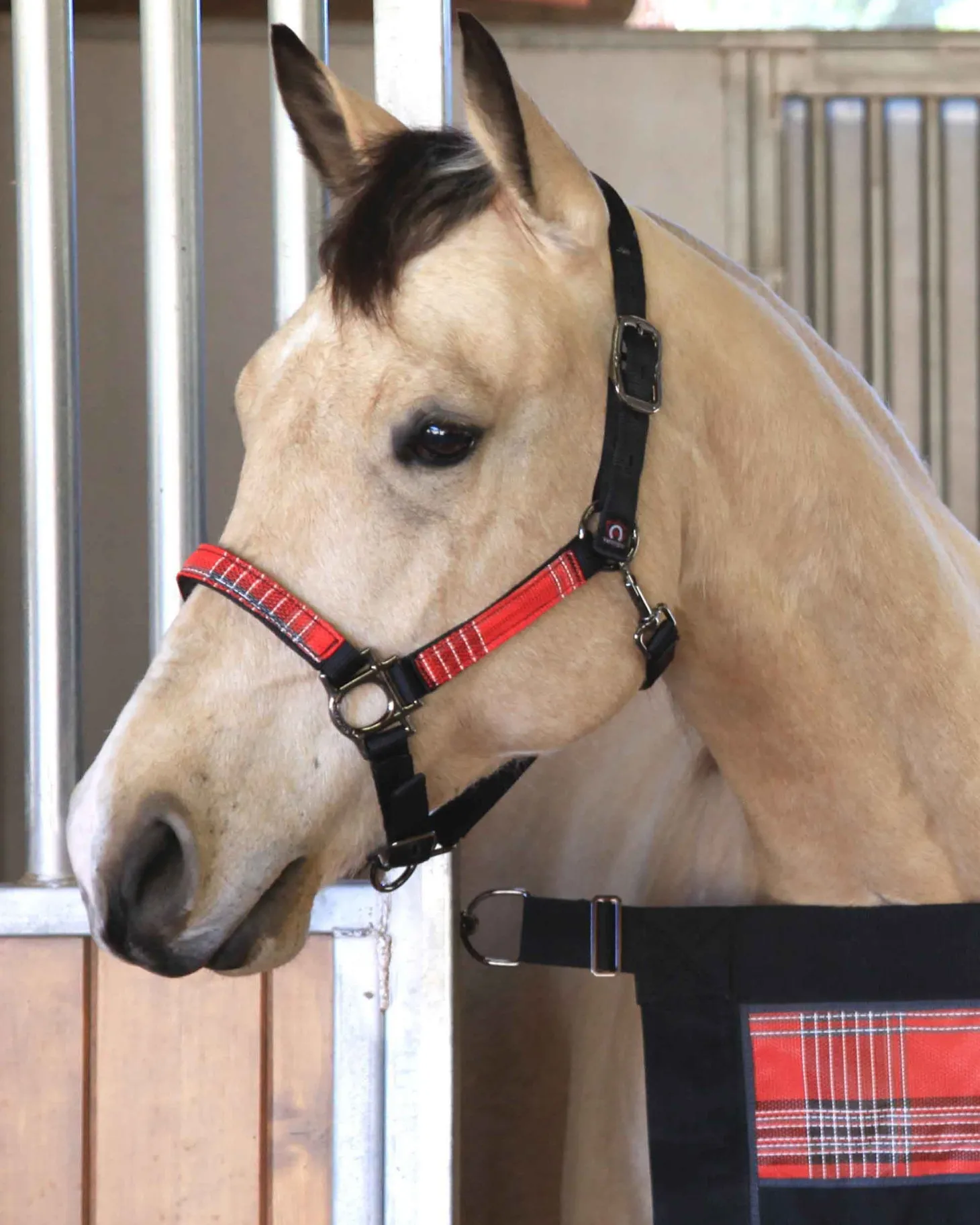 Kensington™ Premium Halter