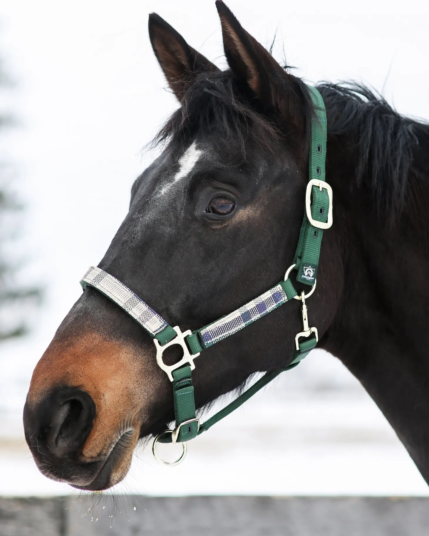 Kensington™ Premium Halter