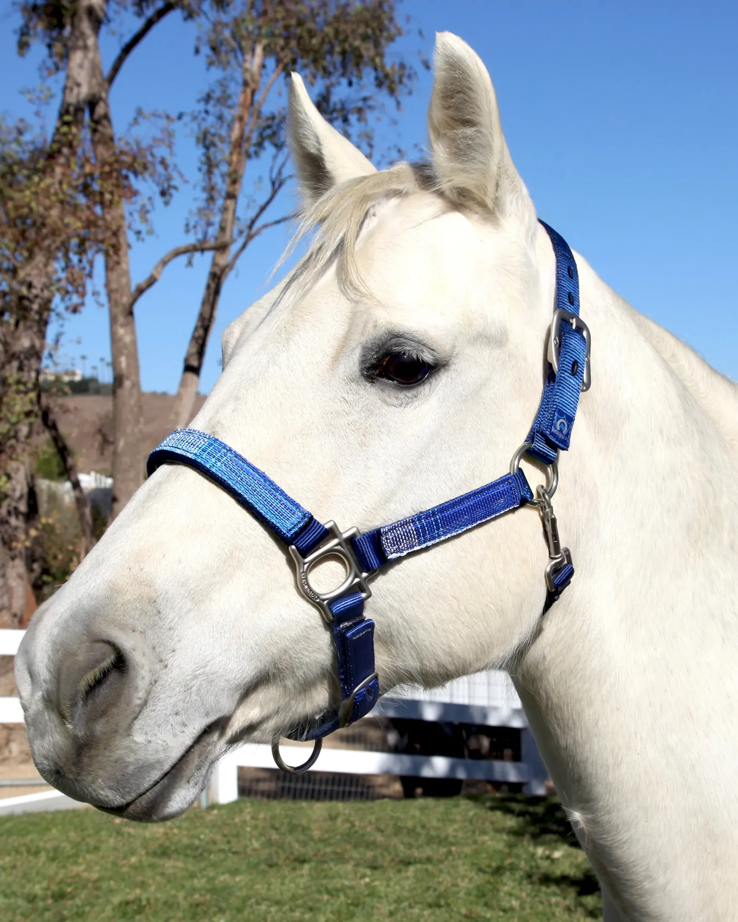 Kensington™ Premium Halter
