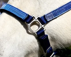 Kensington™ Premium Halter