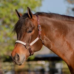 Kensington™ Premium Halter