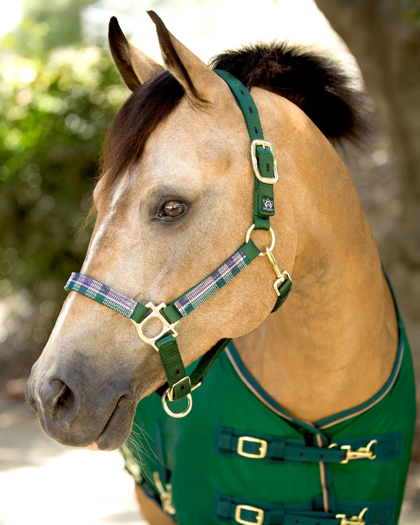 Kensington™ Premium Halter