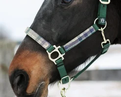 Kensington™ Premium Halter