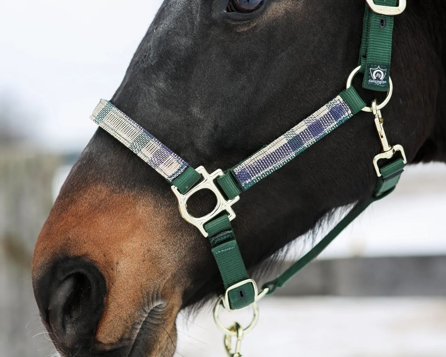 Kensington™ Premium Halter